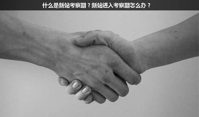 什么是新站考察期？新站進(jìn)入考察期怎么辦？