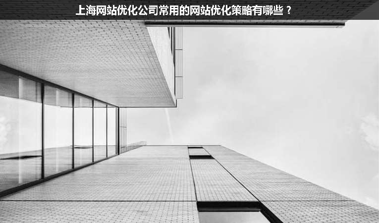 上海網(wǎng)站優(yōu)化公司常用的網(wǎng)站優(yōu)化策略有哪些？