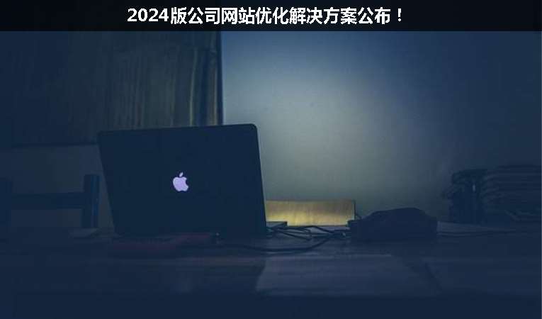 2024版公司網(wǎng)站優(yōu)化解決方案公布！