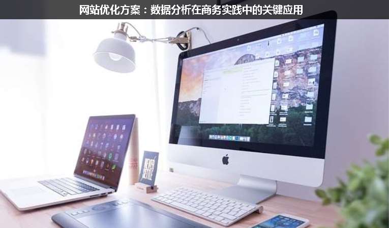 網站優(yōu)化方案：數(shù)據(jù)分析在商務實踐中的關鍵應用