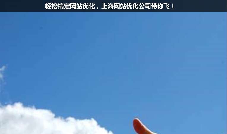 輕松搞定網(wǎng)站優(yōu)化，上海網(wǎng)站優(yōu)化公司帶你飛！