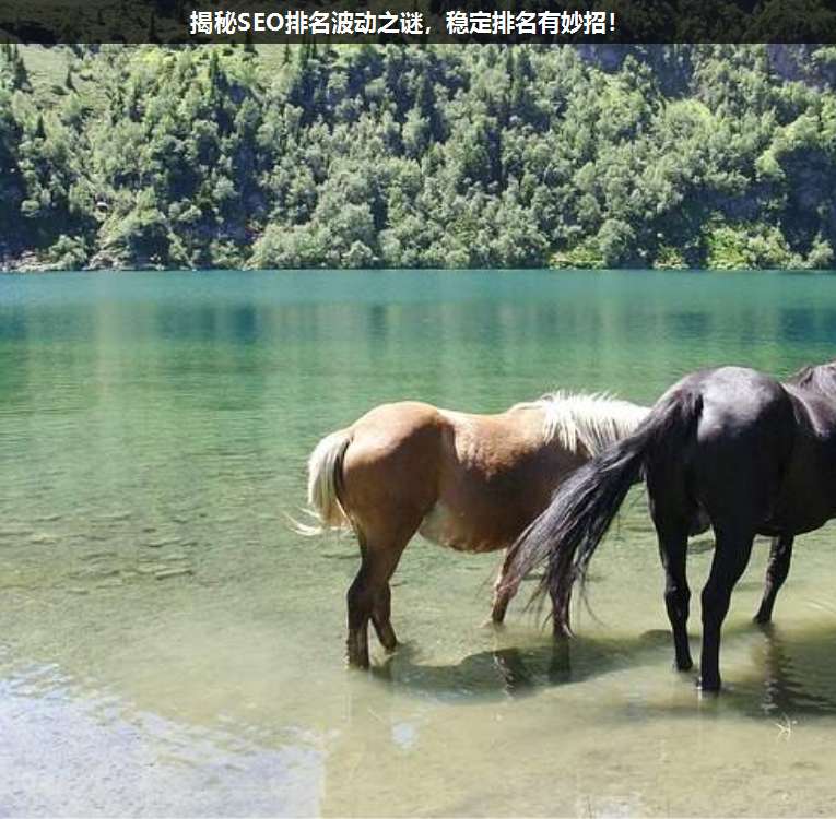 揭秘SEO排名波動(dòng)之謎,穩(wěn)定排名有妙招!