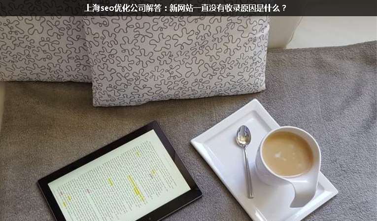 上海seo優(yōu)化公司解答：新網(wǎng)站一直沒有收錄原因是什么？